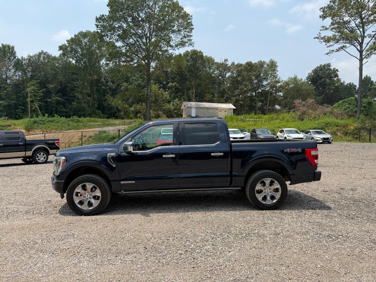 Ford F-150 4WD SuperCrew 145" Platinum 2023
