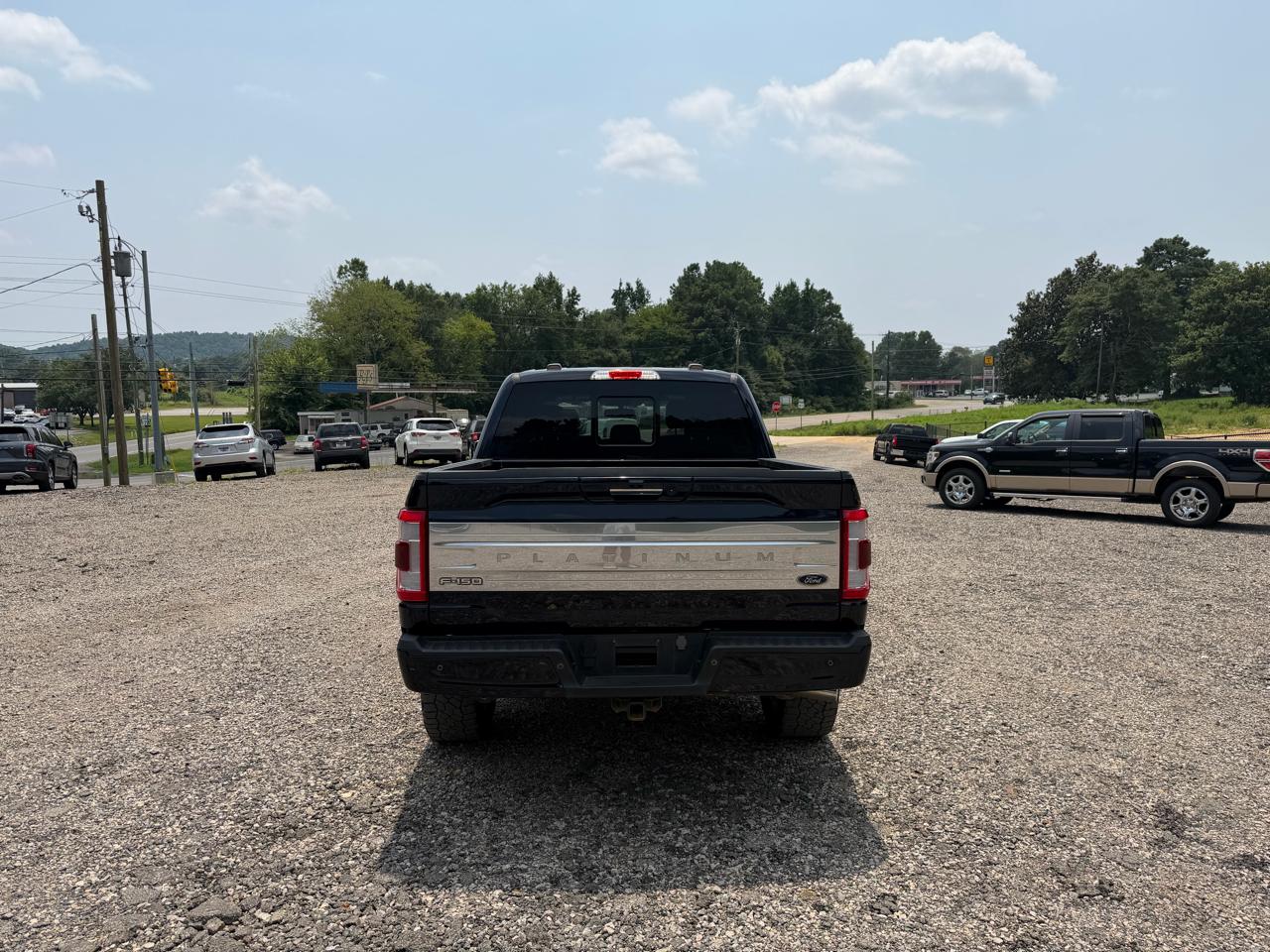 Ford F-150 4WD SuperCrew 145" Platinum 2023
