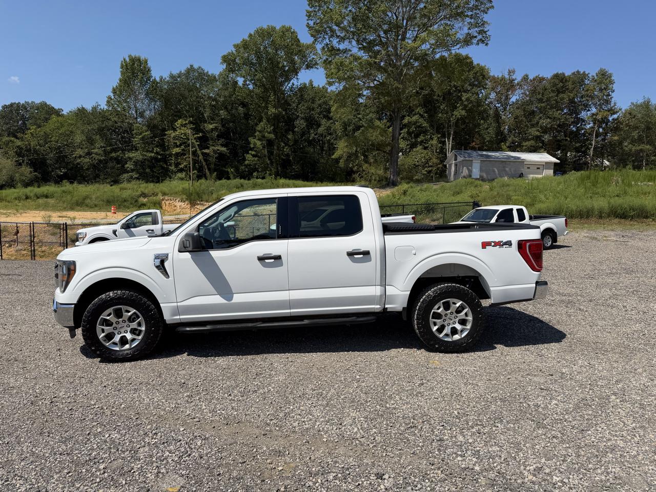 Ford F-150 XLT 4WD SuperCrew 5.5' Box 2023