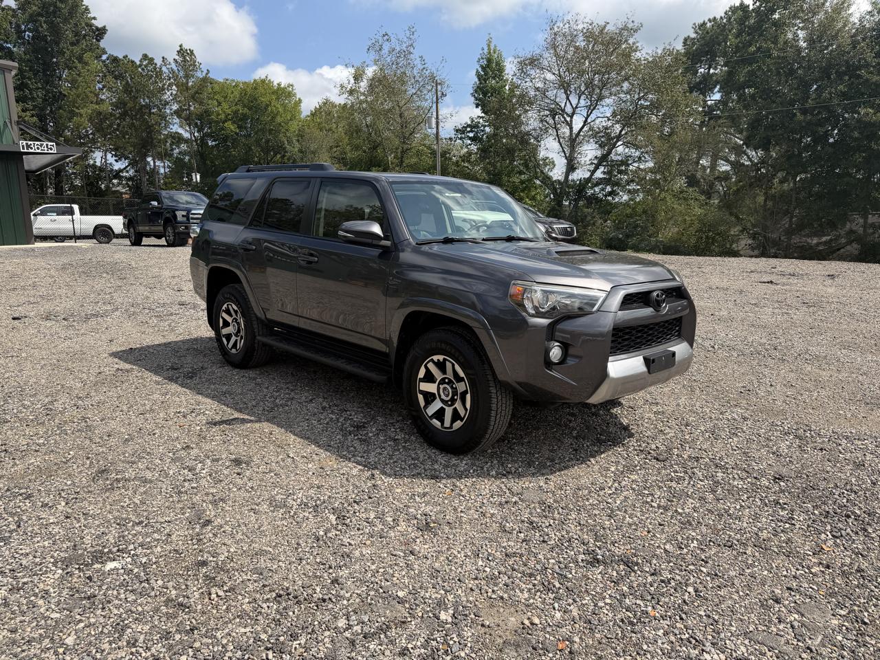 Toyota 4Runner TRD Off Road Premium 4WD (Natl) 2019