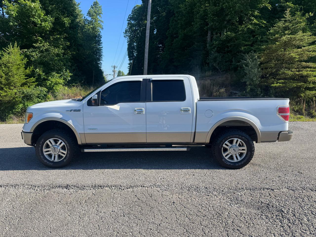 Ford F-150 4WD SuperCrew 145" Platinum 2012