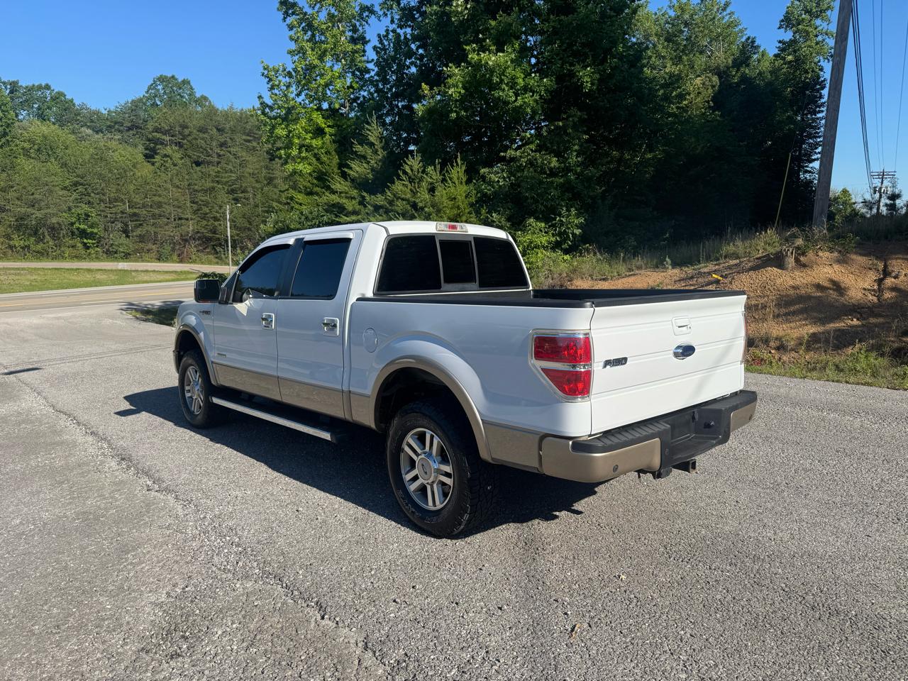 Ford F-150 4WD SuperCrew 145" Platinum 2012
