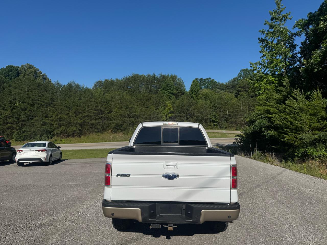 Ford F-150 4WD SuperCrew 145" Platinum 2012