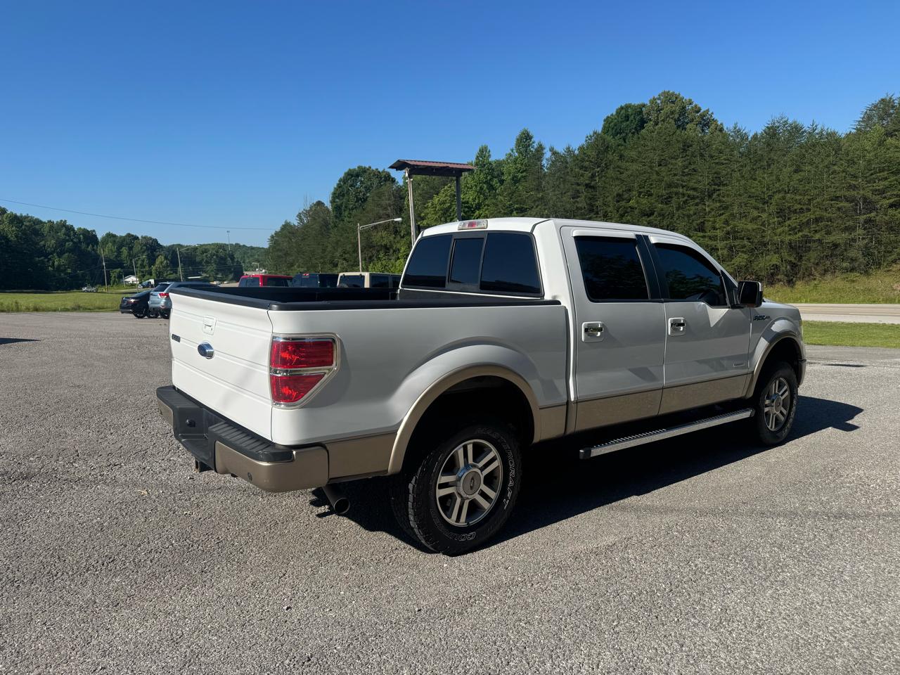 Ford F-150 4WD SuperCrew 145" Platinum 2012