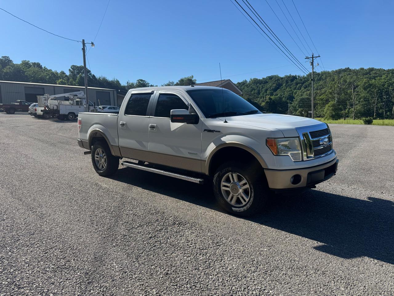 Ford F-150 4WD SuperCrew 145" Platinum 2012