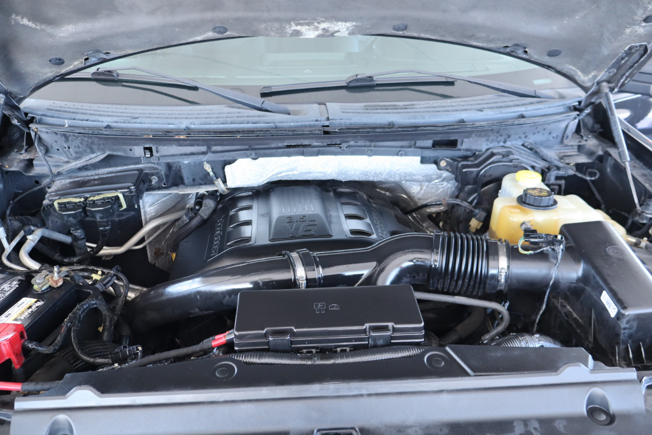 Ford F-150 4WD SuperCrew 145" Platinum 2014