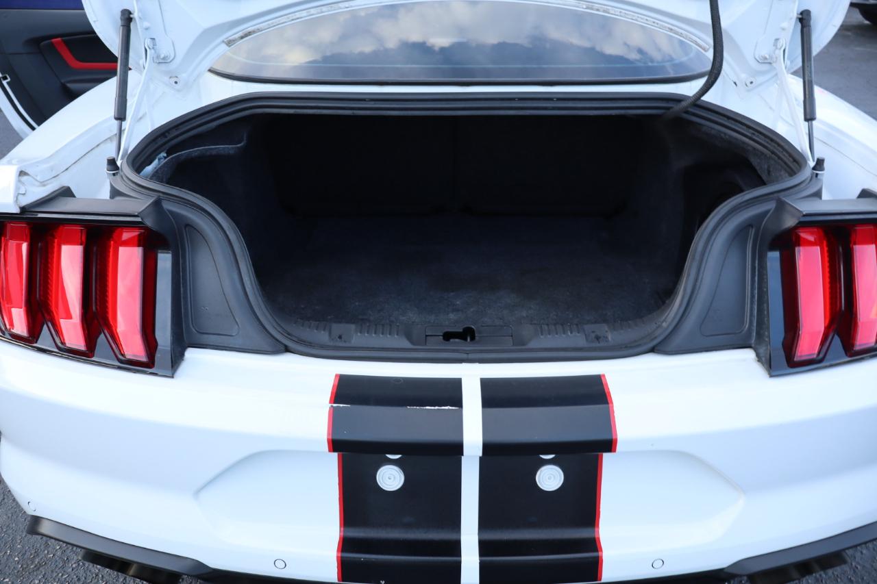 Ford Mustang GT Fastback 2020