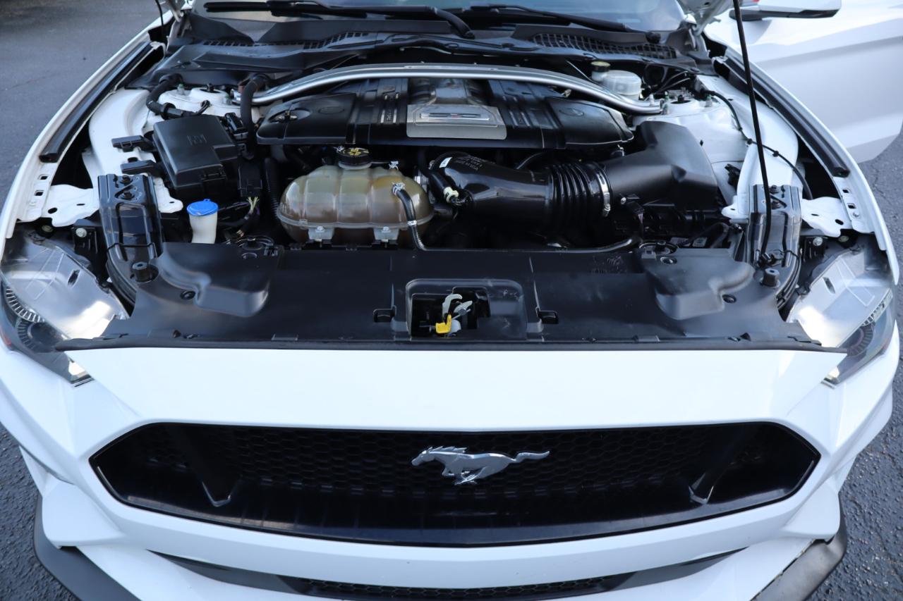 Ford Mustang GT Fastback 2020