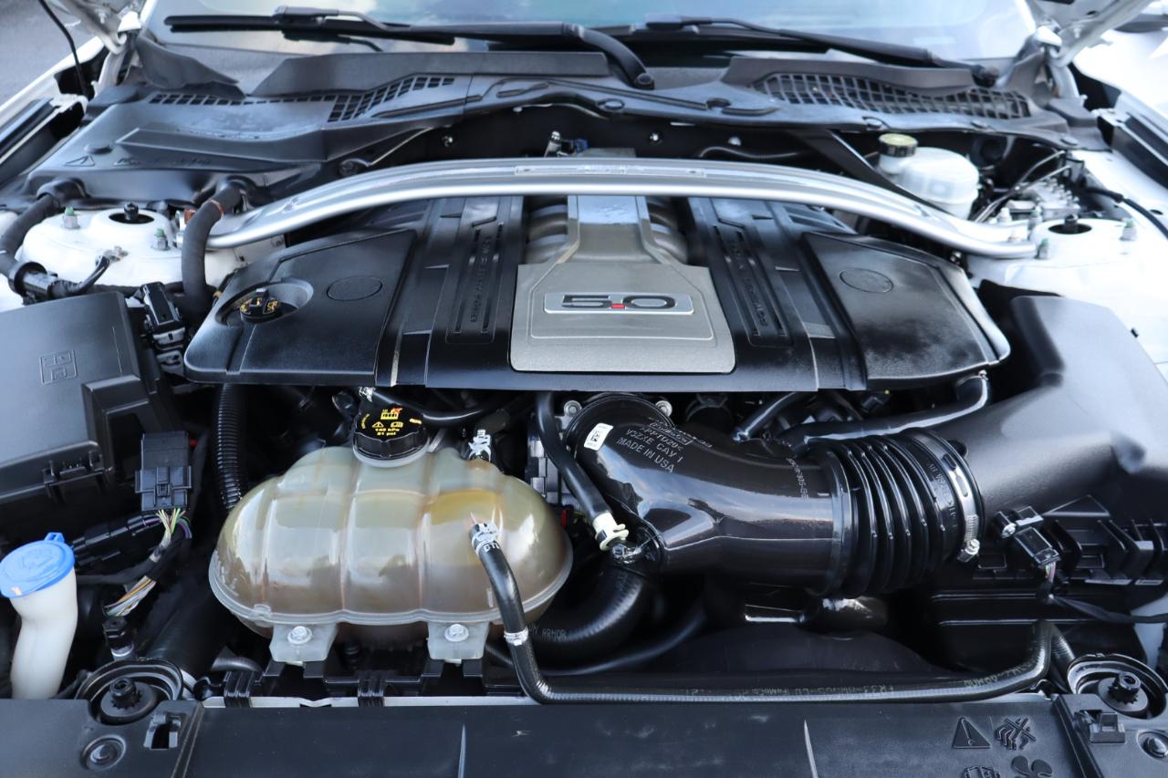 Ford Mustang GT Fastback 2020