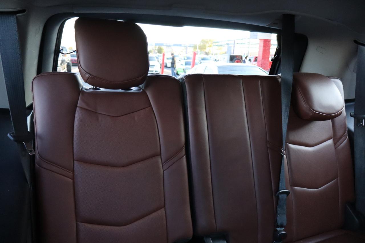 Cadillac Escalade 2WD 4dr Luxury 2020