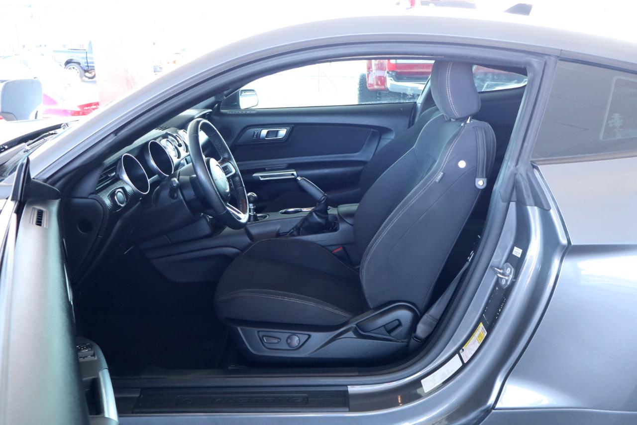 Ford Mustang EcoBoost Fastback 2021