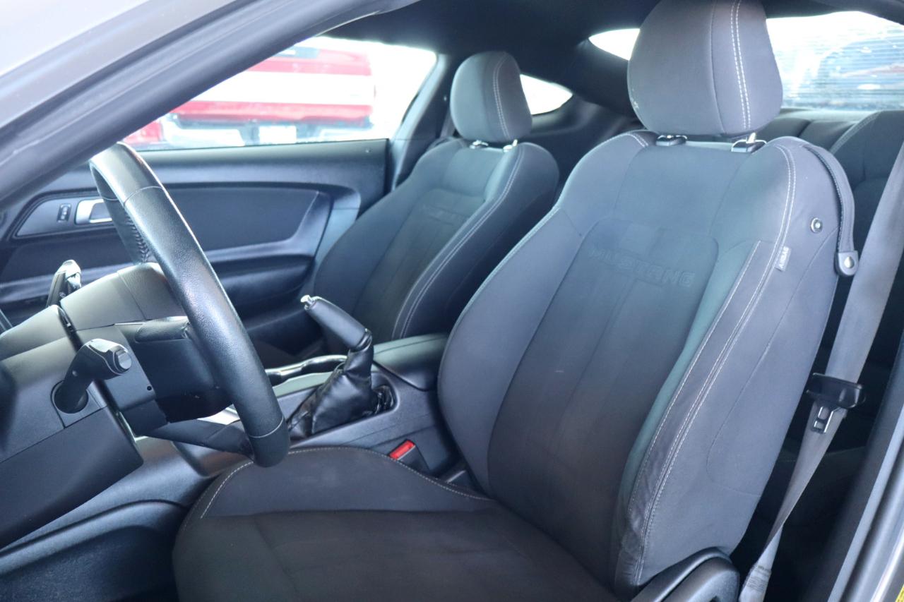 Ford Mustang EcoBoost Fastback 2021