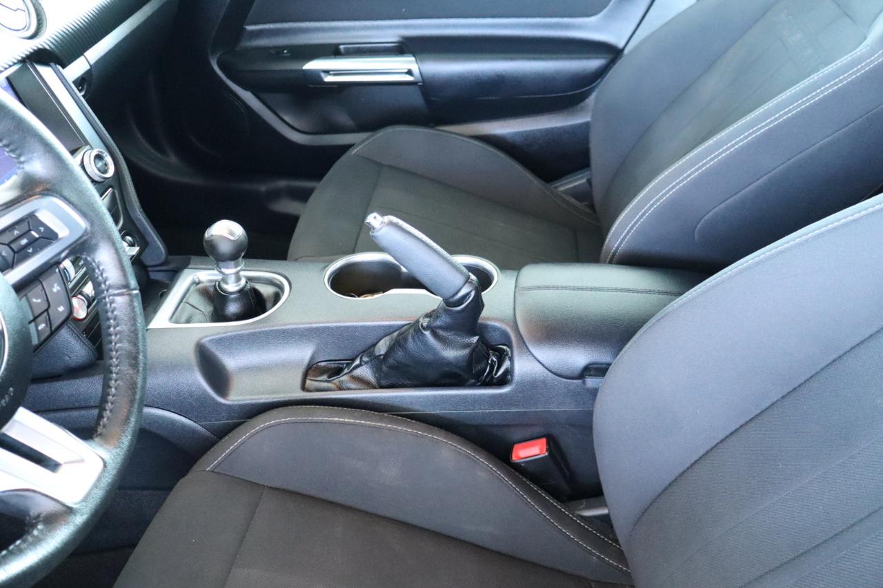 Ford Mustang EcoBoost Fastback 2021