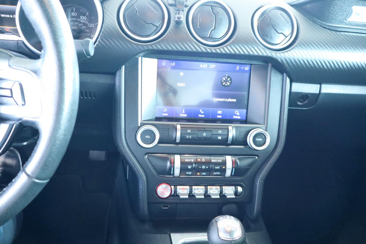 Ford Mustang EcoBoost Fastback 2021