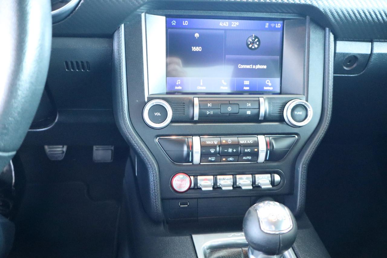 Ford Mustang EcoBoost Fastback 2021