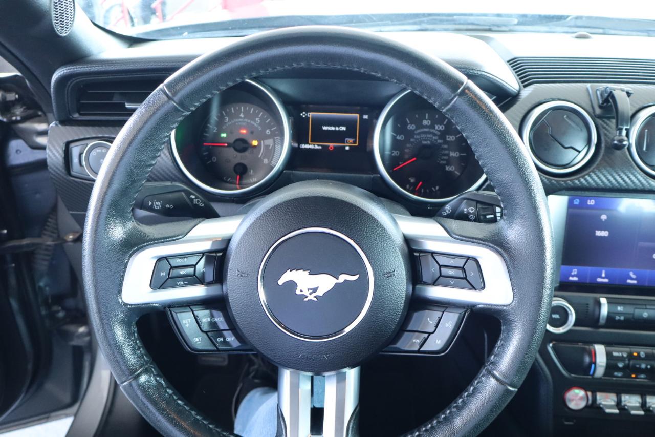 Ford Mustang EcoBoost Fastback 2021