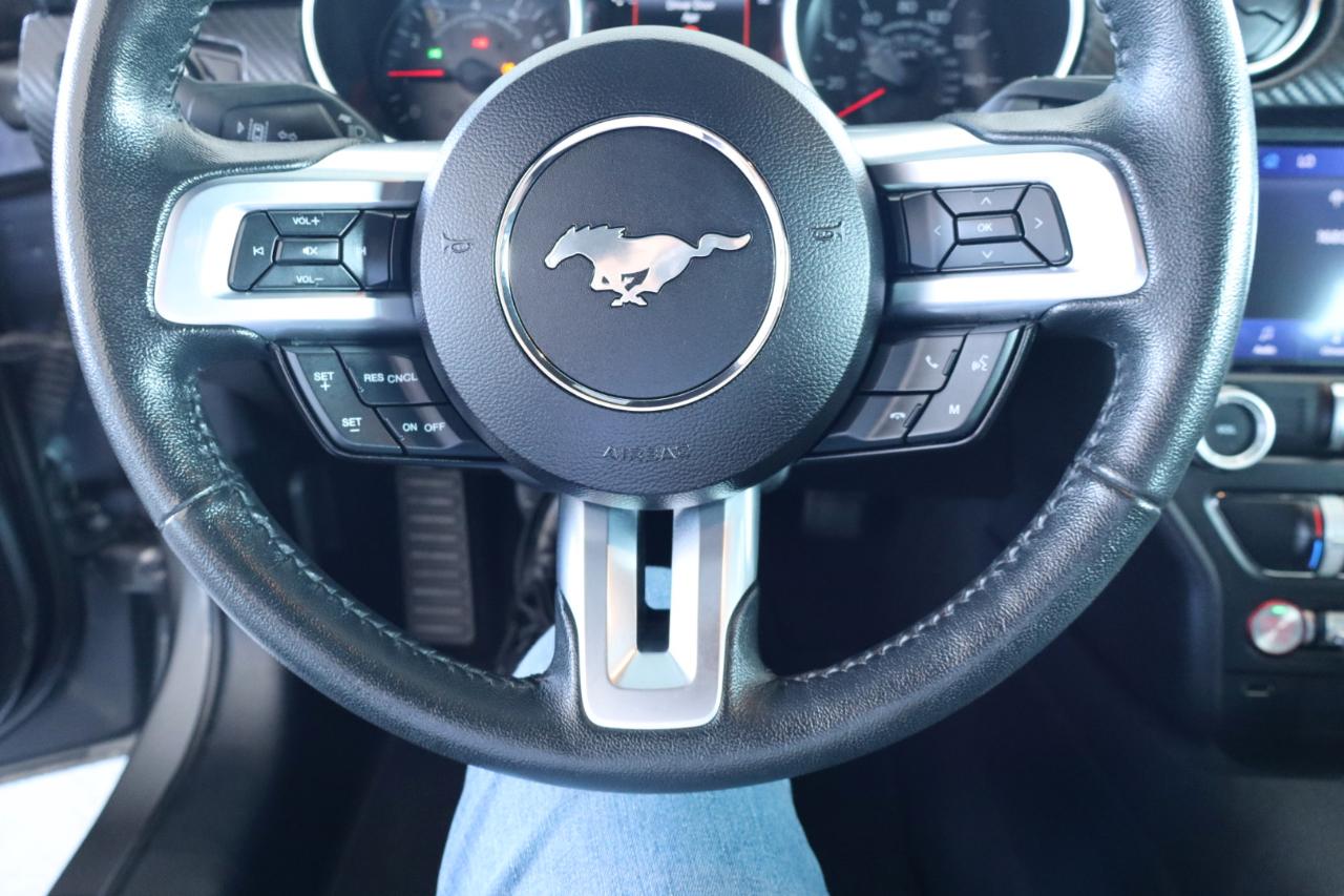 Ford Mustang EcoBoost Fastback 2021