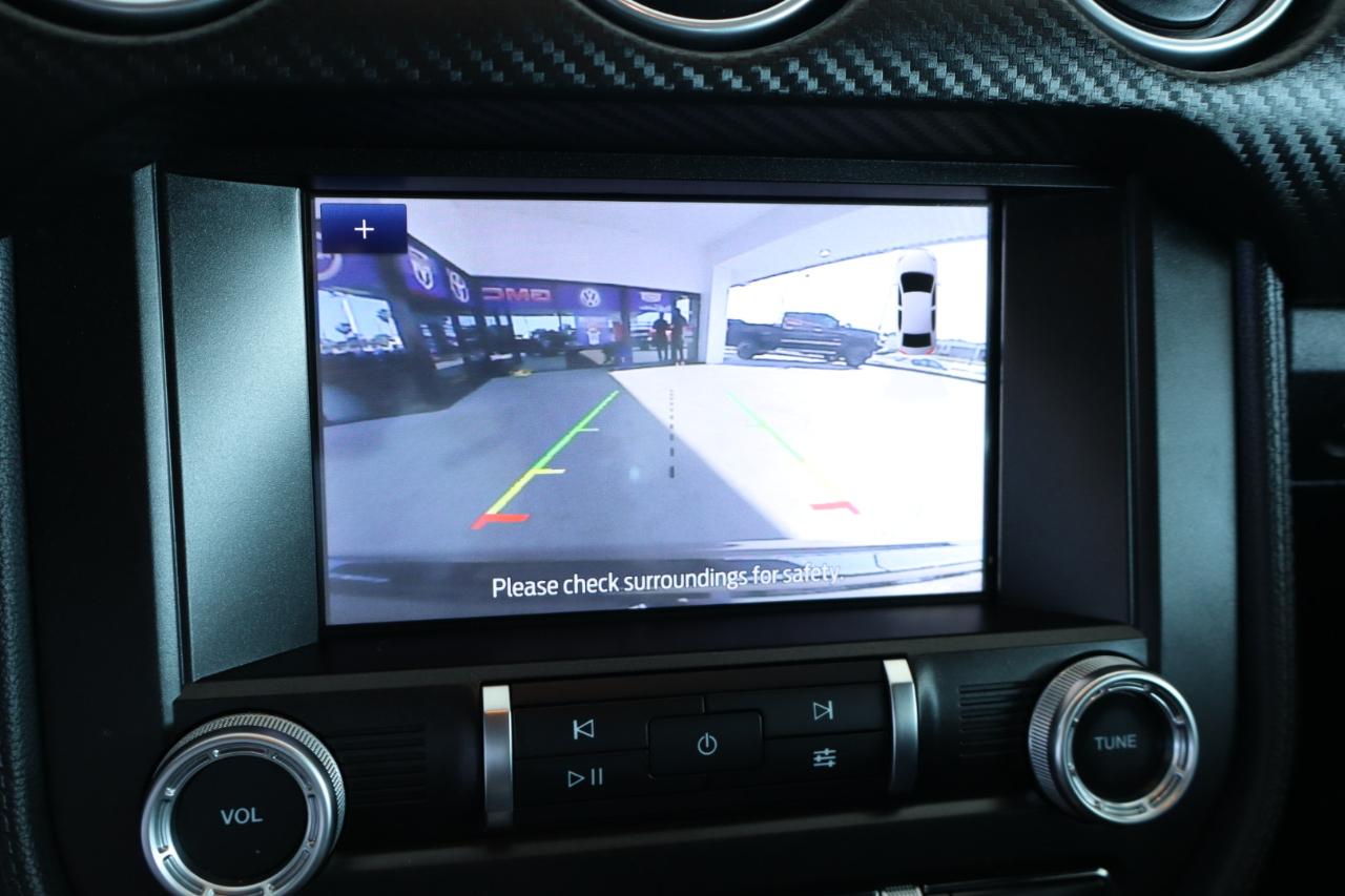 Ford Mustang EcoBoost Fastback 2021