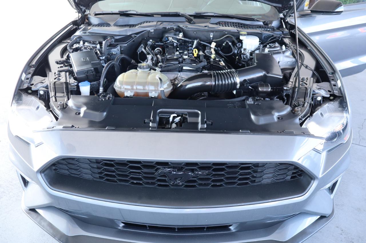 Ford Mustang EcoBoost Fastback 2021