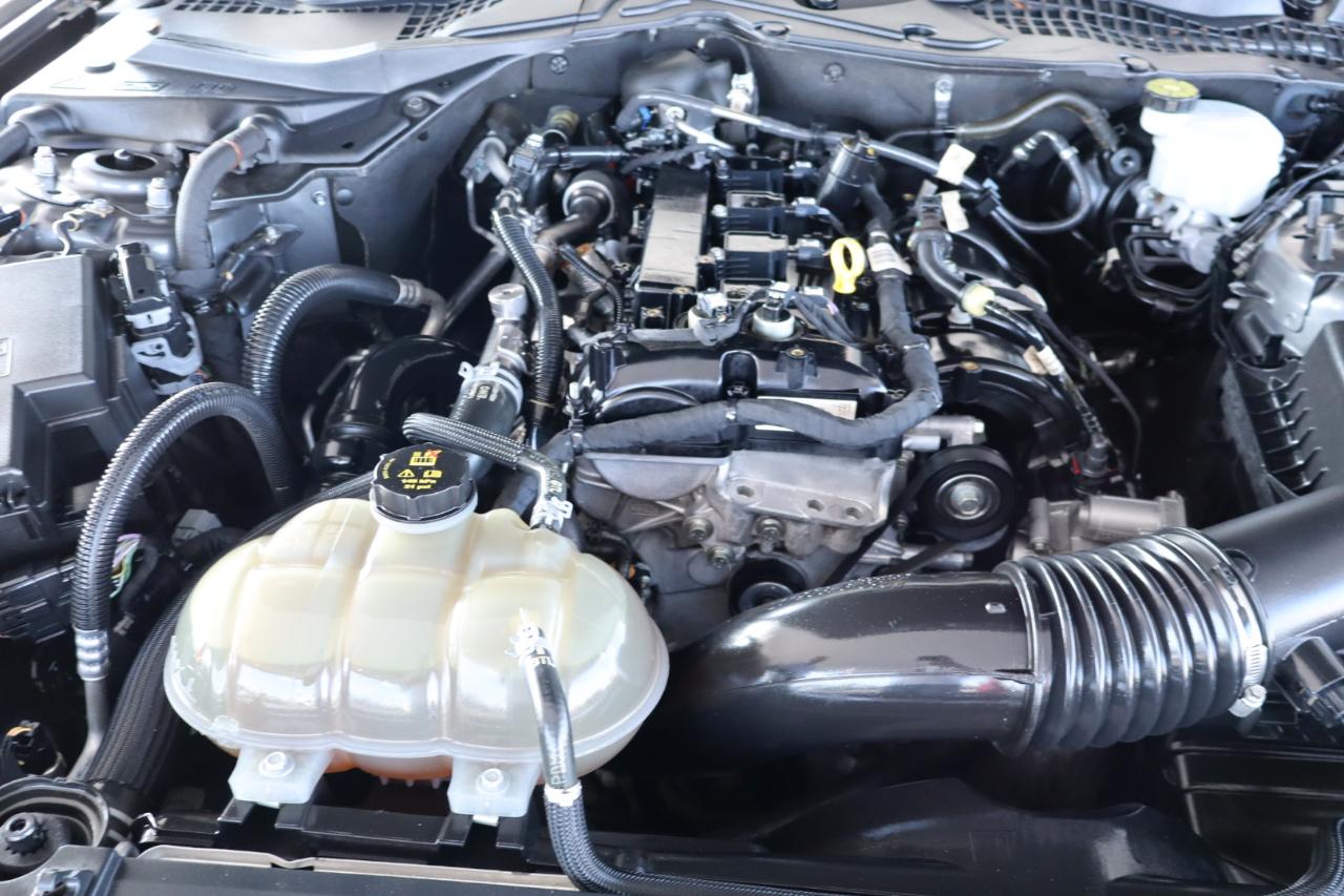 Ford Mustang EcoBoost Fastback 2021