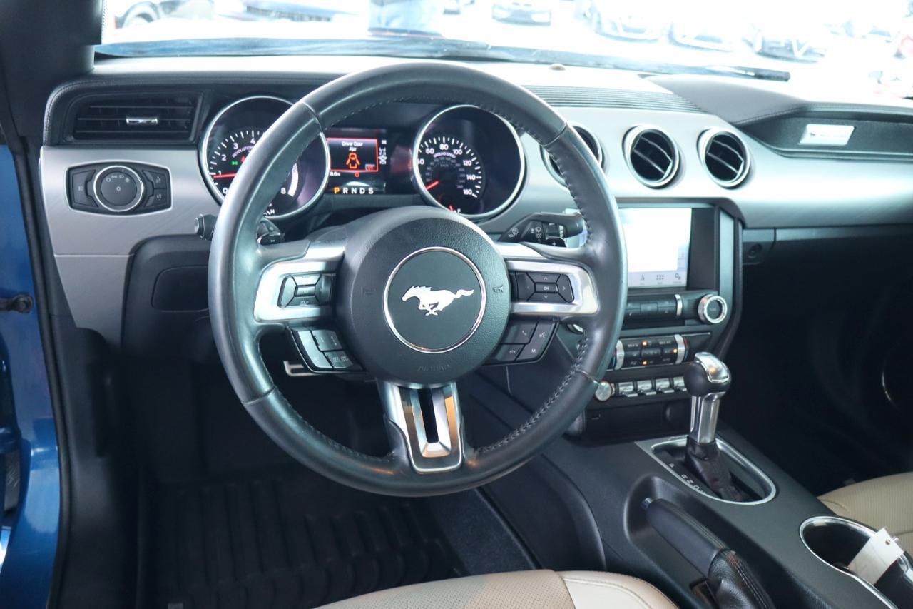 Ford Mustang EcoBoost Fastback 2018