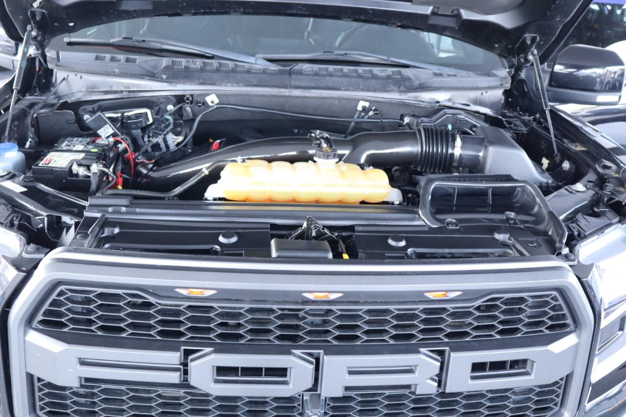 Ford F-150 Raptor 4WD SuperCrew 5.5' Box 2019
