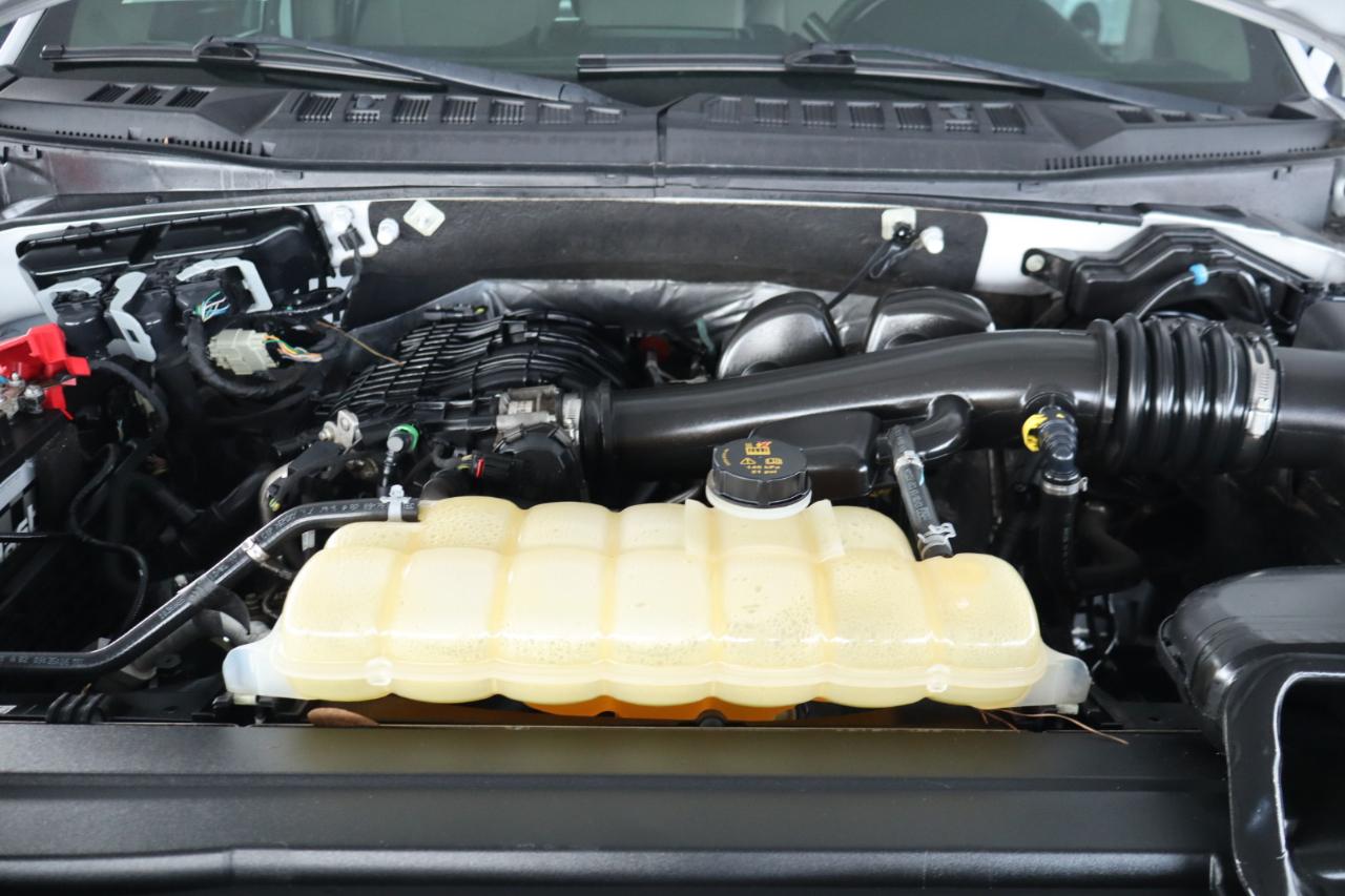 Ford F-150 XLT 4WD SuperCrew 5.5' Box 2020
