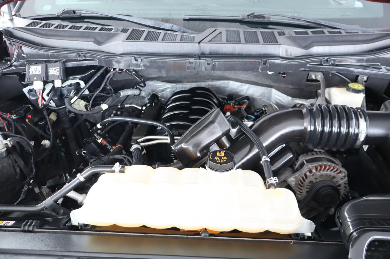 Ford F-150 XLT SuperCrew 6.5-ft Box 4WD 2022