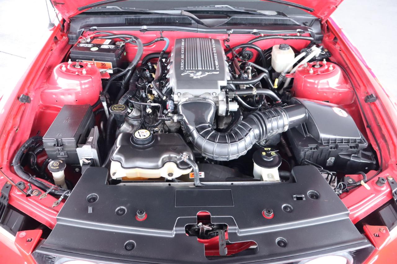 Ford Mustang 2dr Cpe GT Deluxe 2008