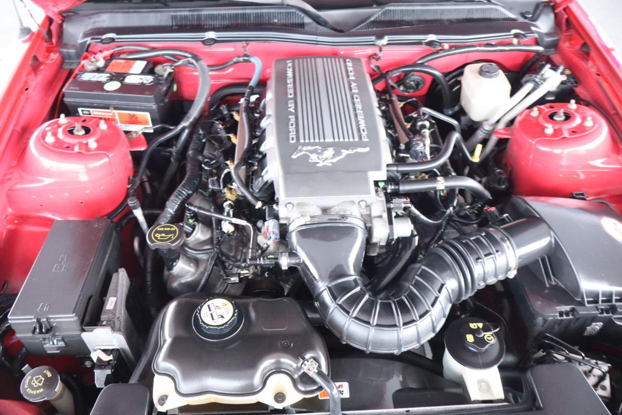 Ford Mustang 2dr Cpe GT Deluxe 2008