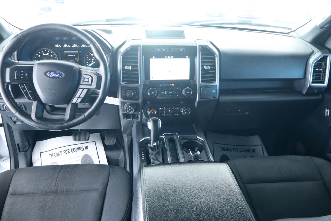 Ford F-150 4WD SuperCrew 157" XLT 2019