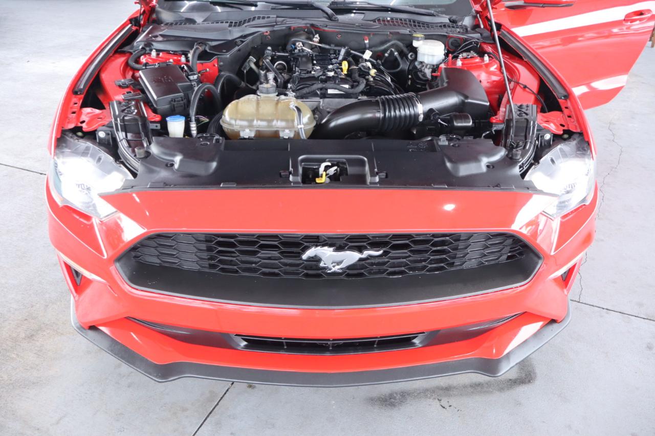 Ford Mustang EcoBoost Fastback 2021