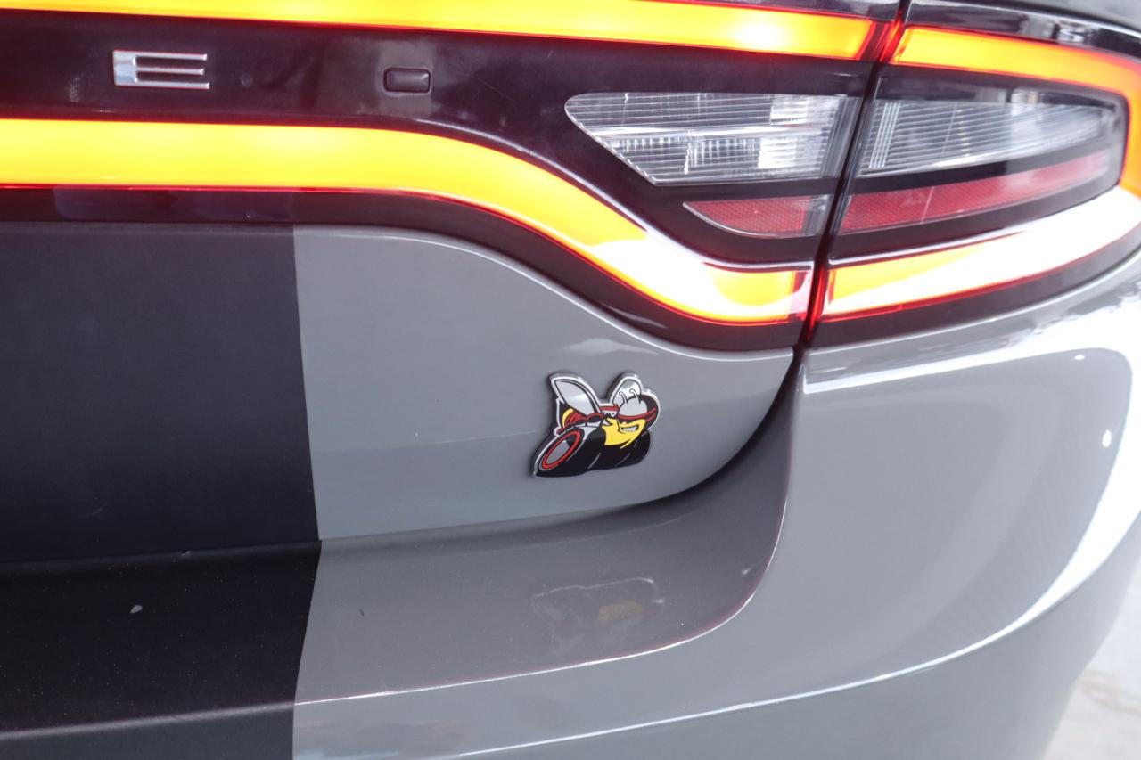 Dodge Charger Scat Pack RWD 2023