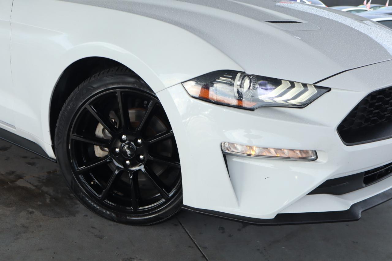 Ford Mustang EcoBoost Fastback 2019