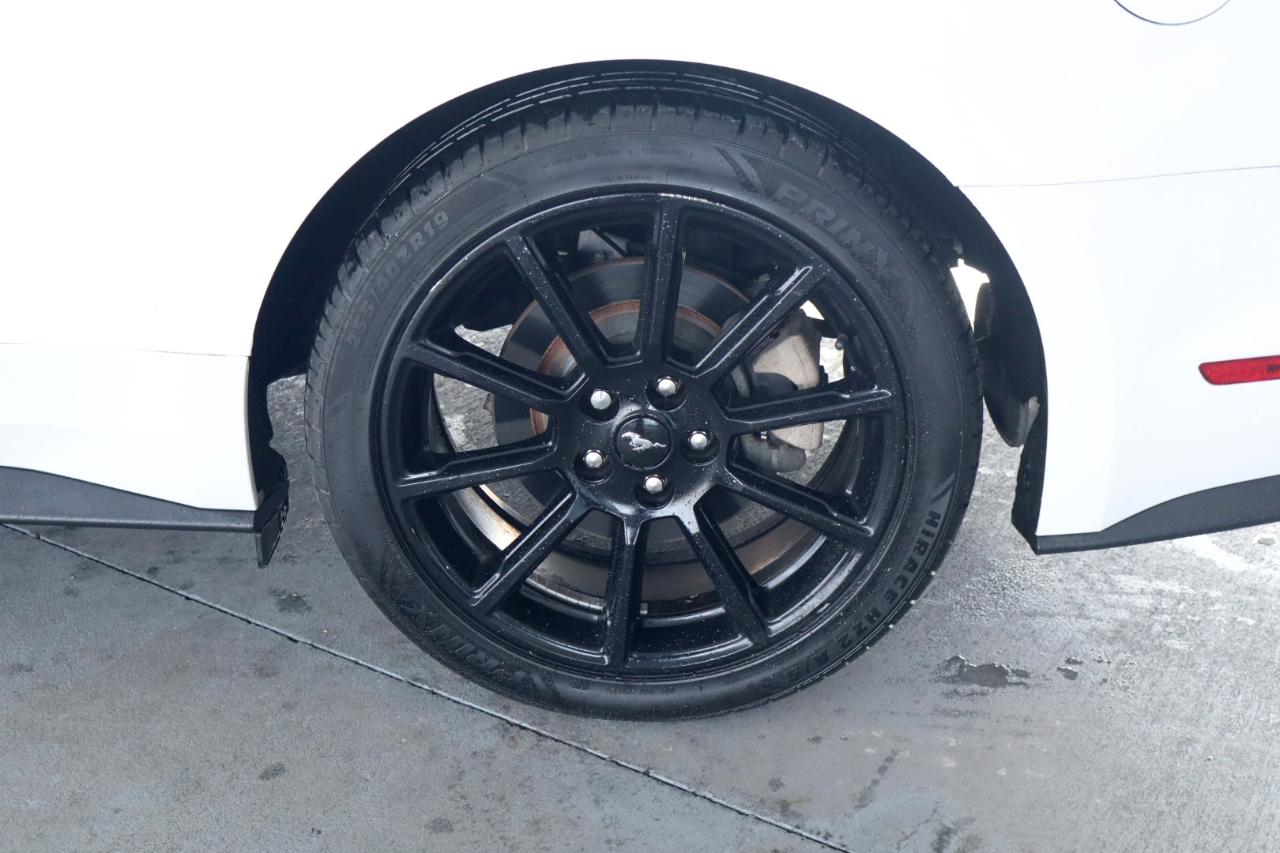 Ford Mustang EcoBoost Fastback 2019