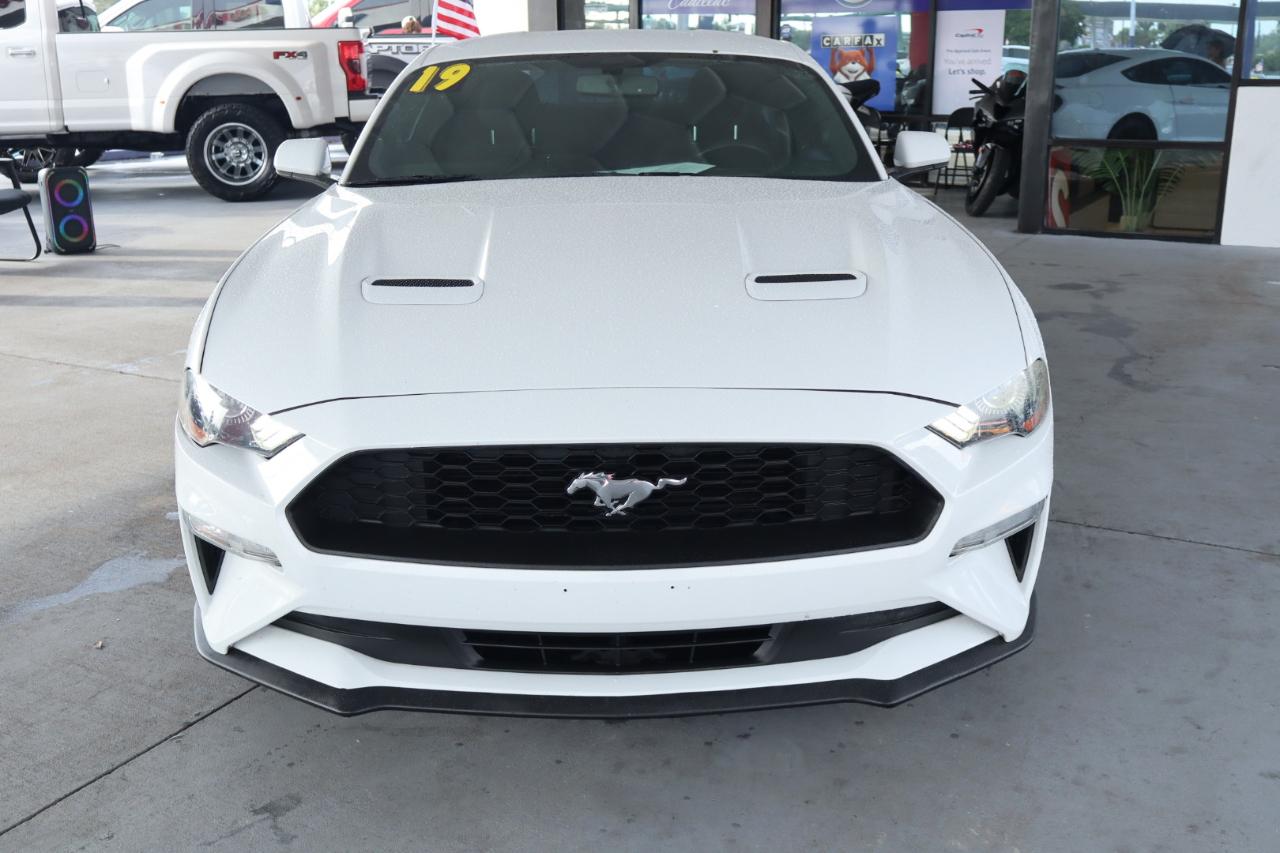 Ford Mustang EcoBoost Fastback 2019