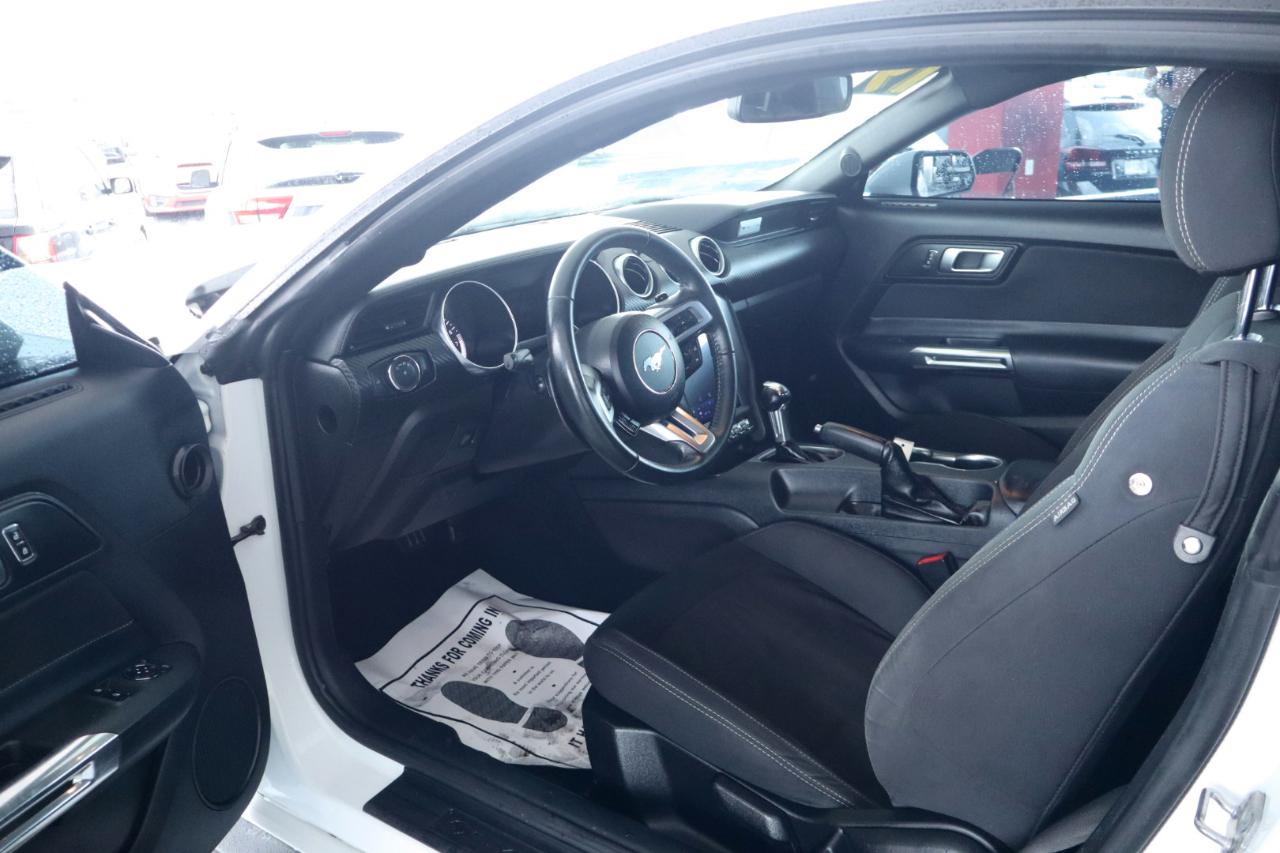Ford Mustang EcoBoost Fastback 2019