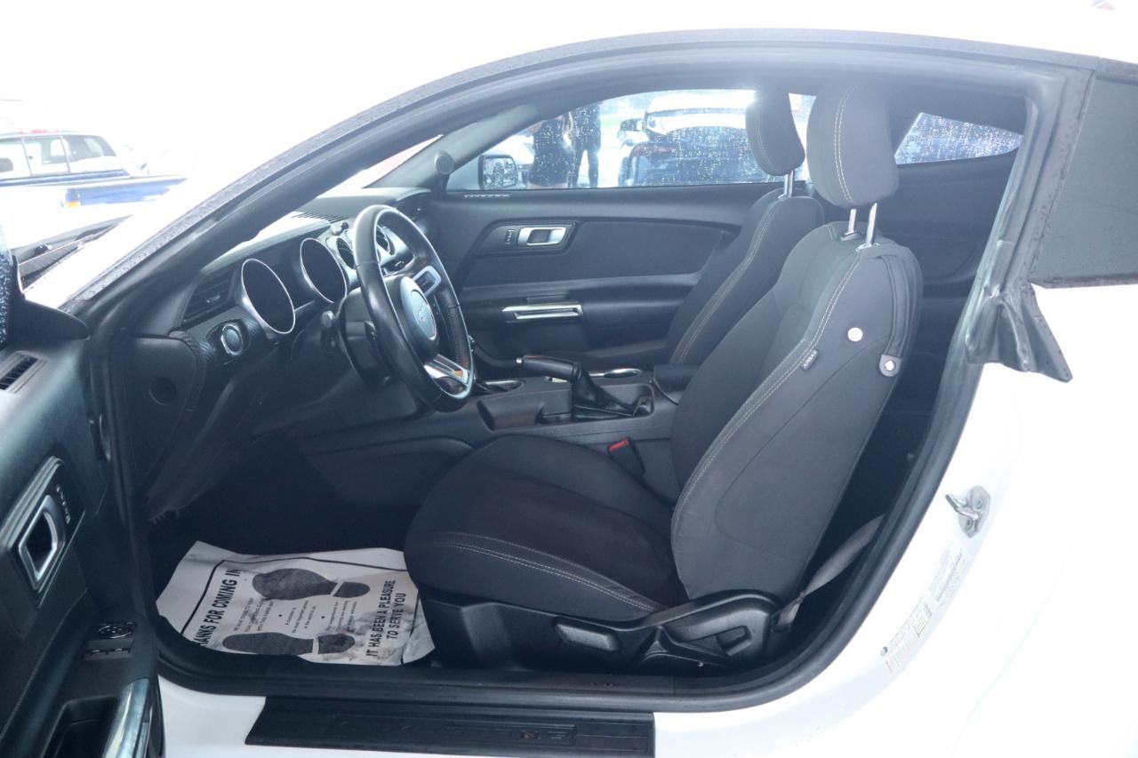 Ford Mustang EcoBoost Fastback 2019