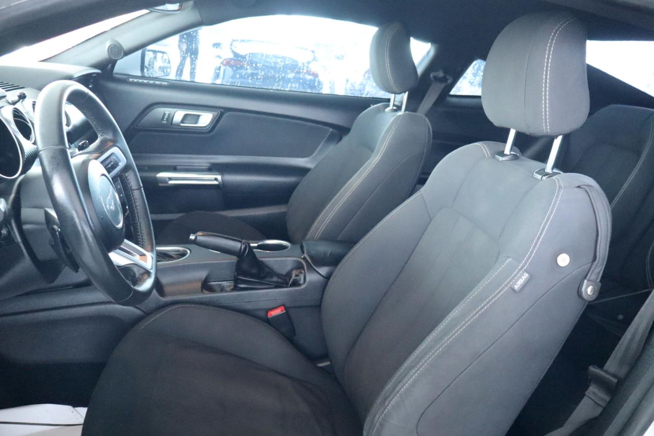 Ford Mustang EcoBoost Fastback 2019