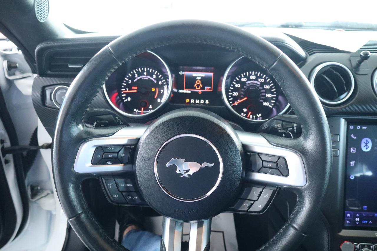 Ford Mustang EcoBoost Fastback 2019