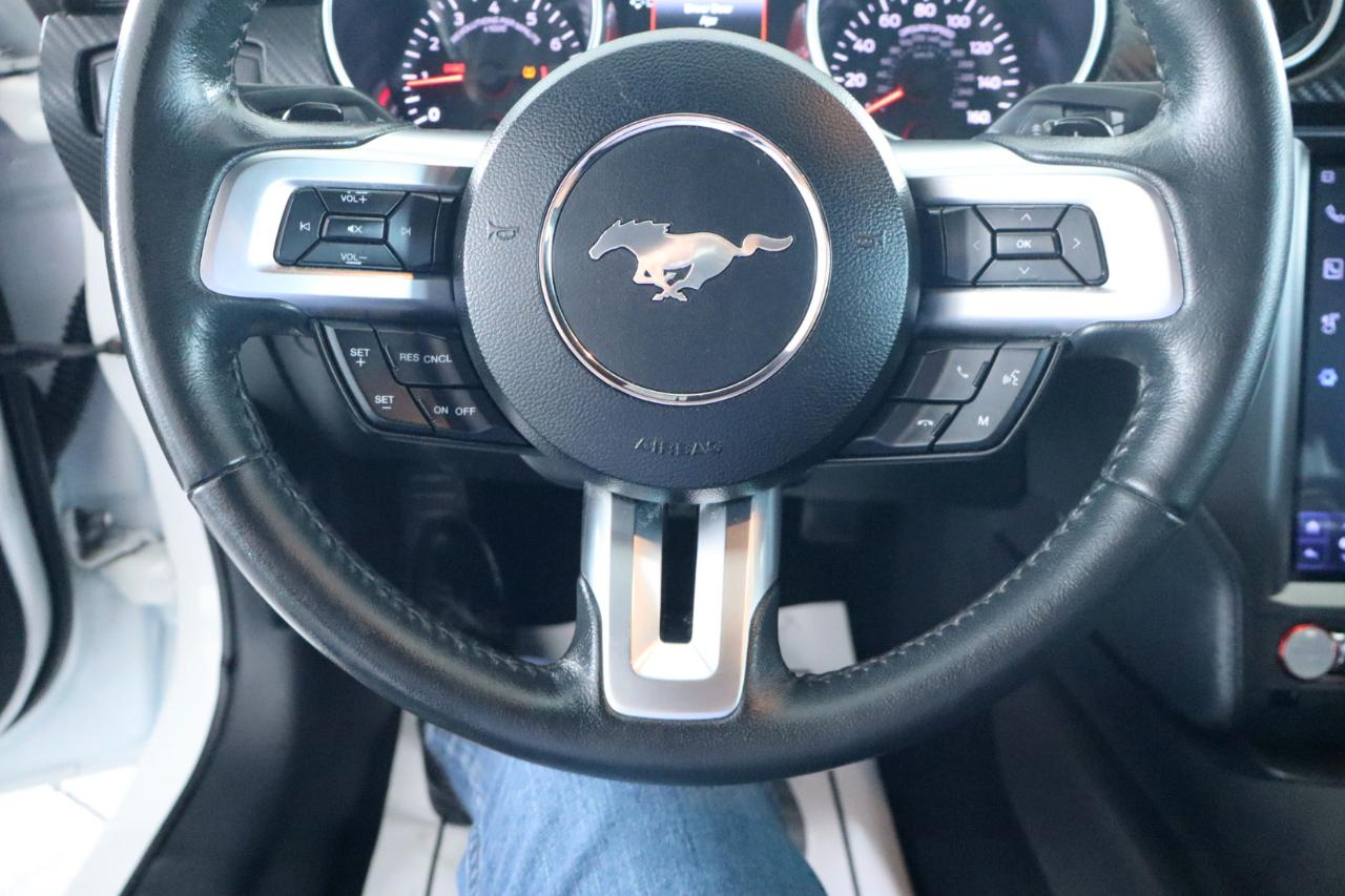Ford Mustang EcoBoost Fastback 2019