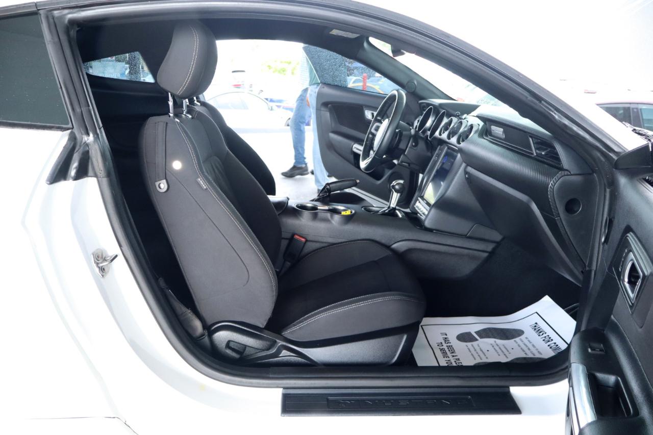 Ford Mustang EcoBoost Fastback 2019