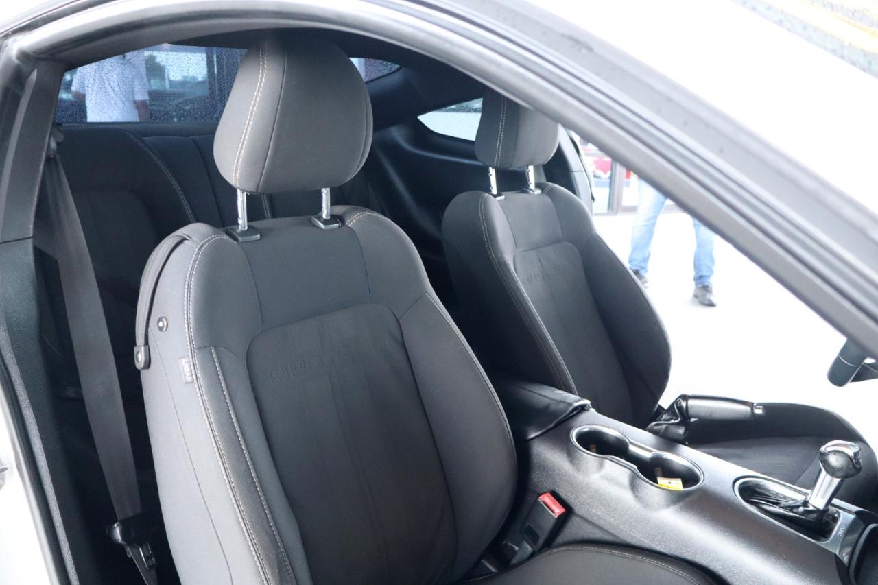 Ford Mustang EcoBoost Fastback 2019