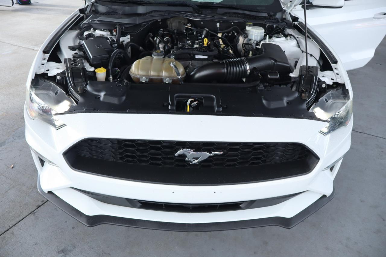Ford Mustang EcoBoost Fastback 2019