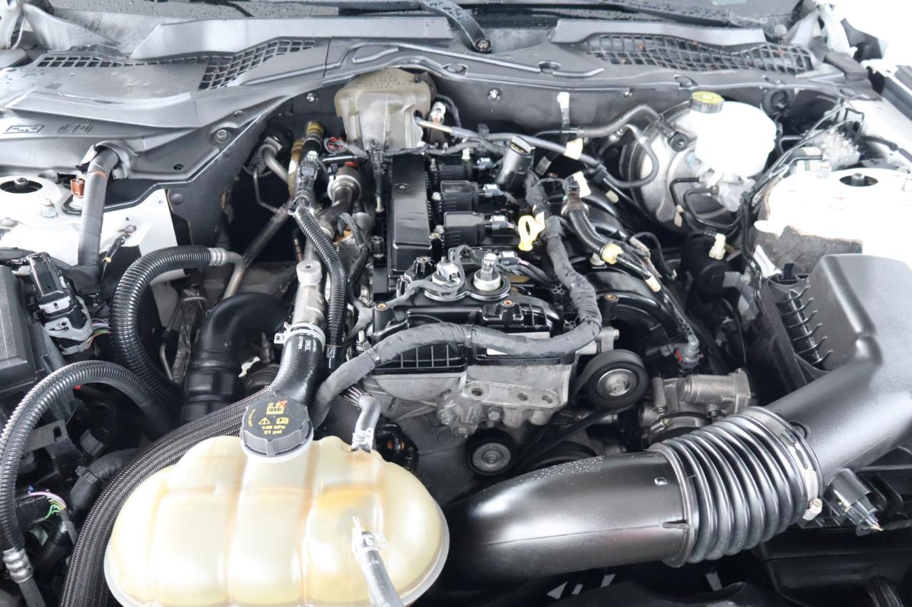 Ford Mustang EcoBoost Fastback 2019