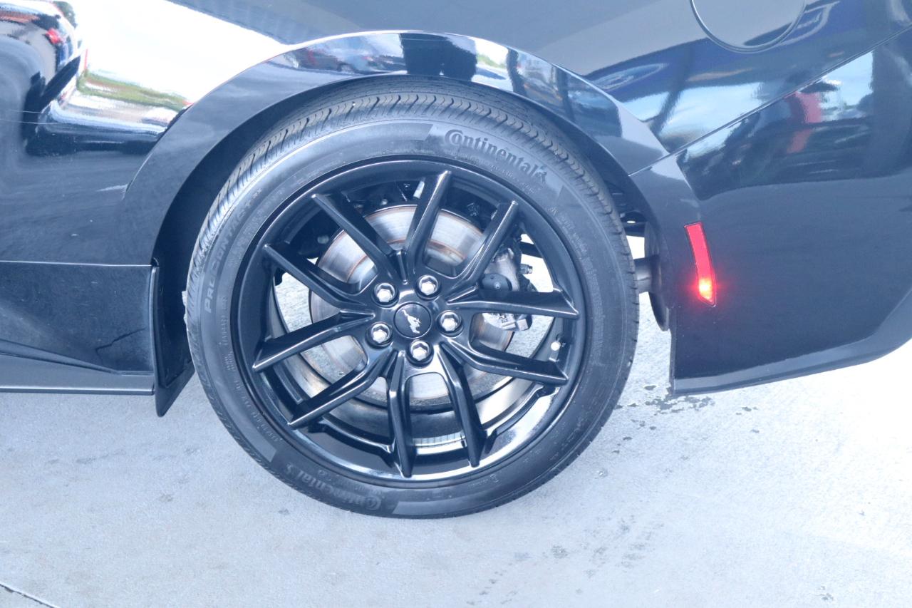 Ford Mustang EcoBoost Fastback 2024