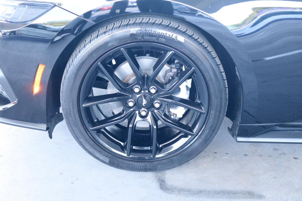 Ford Mustang EcoBoost Fastback 2024