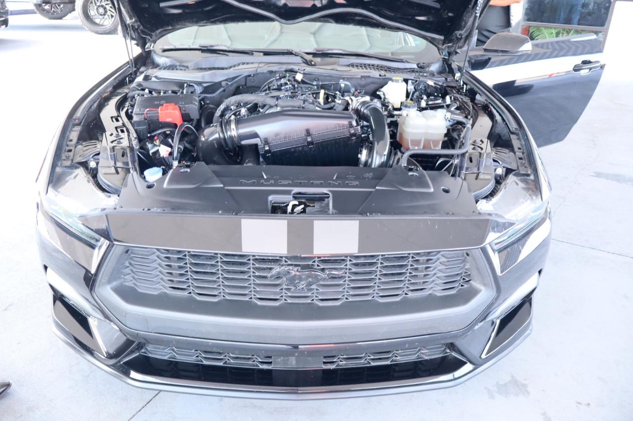 Ford Mustang EcoBoost Fastback 2024