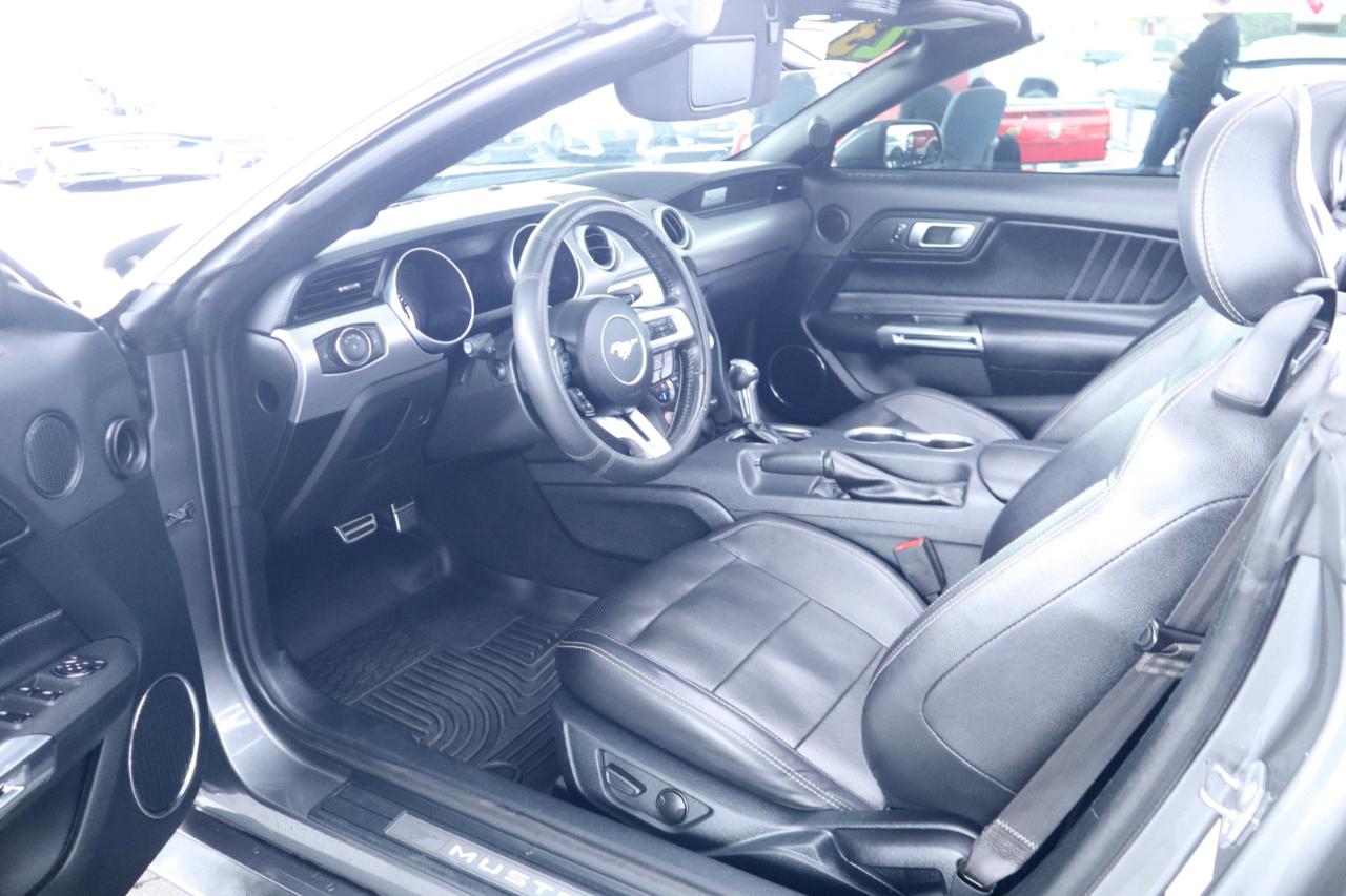 Ford Mustang EcoBoost Convertible 2023