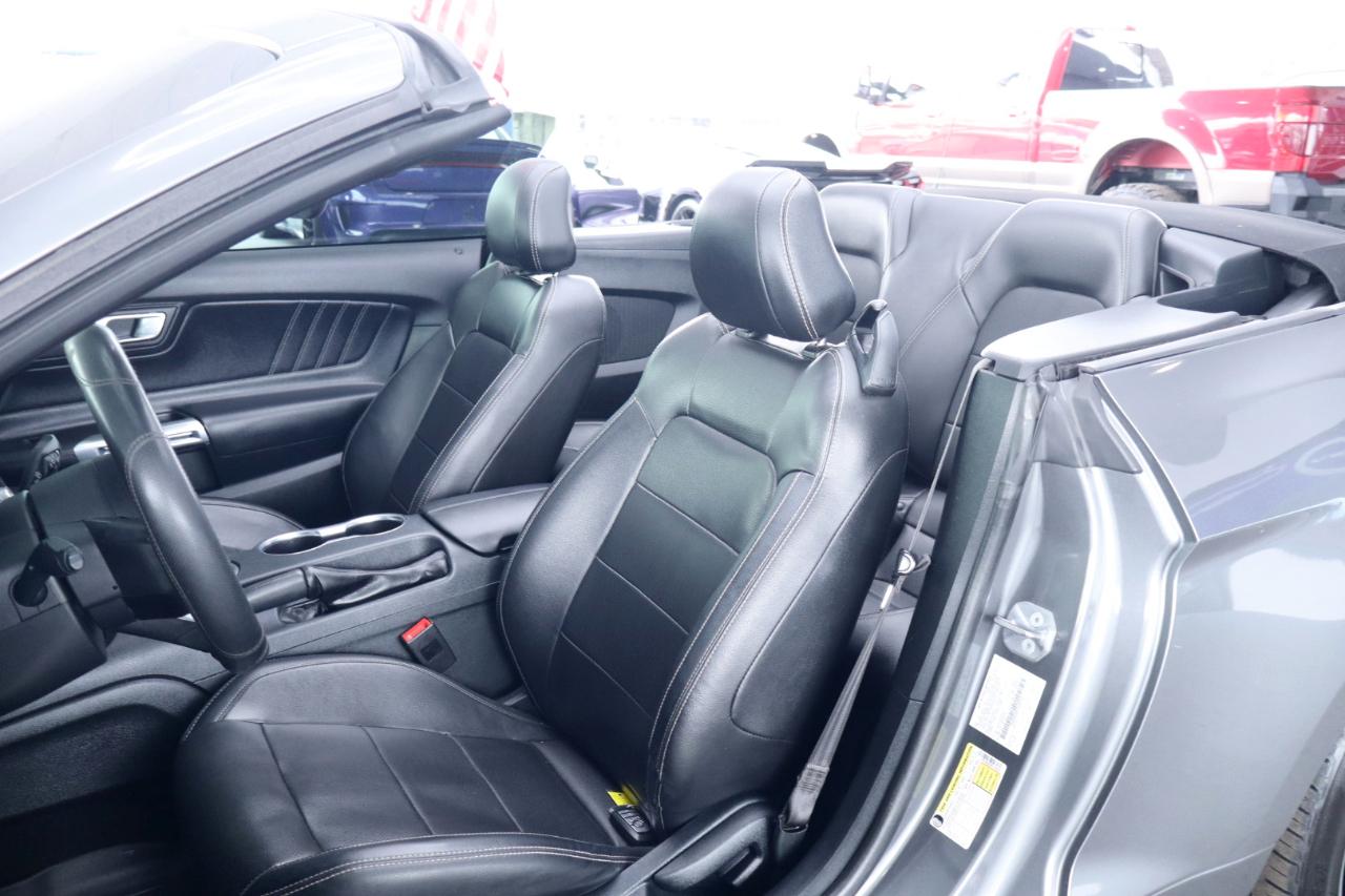 Ford Mustang EcoBoost Convertible 2023